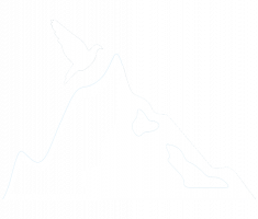 Logo eisberg weiss
